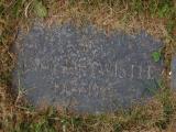 image of grave number 678366